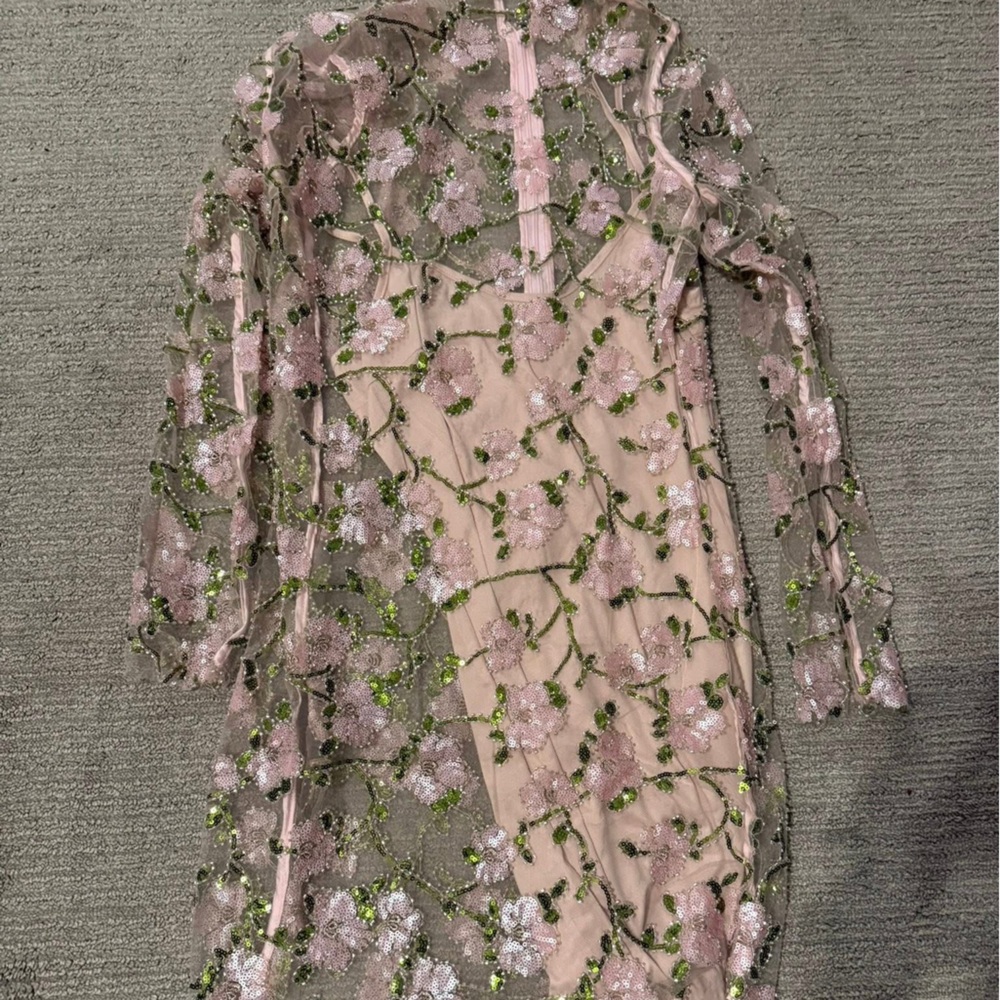 Floral Embroidered Mini Dress - Pink and Green